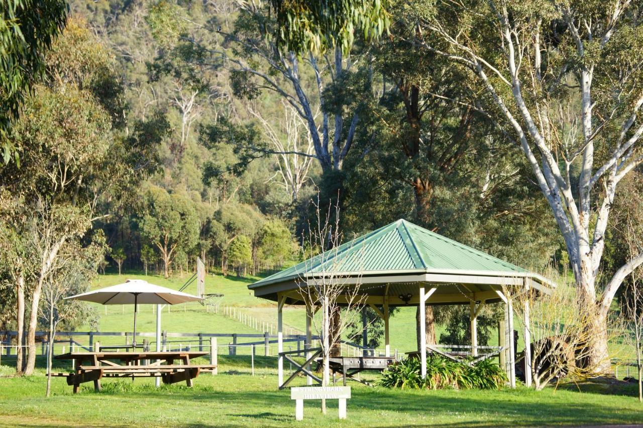 Halls On Falls Homestead Strath Creek Dış mekan fotoğraf